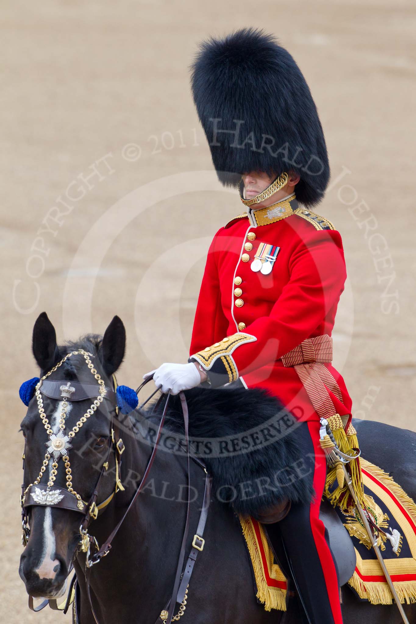 Trooping the Colour 2011: The Adjutant of the Parade, Captain Hamish N C Barne, 1st Battalion Scots Guards and Adjutant of the 1st Battalion..
Horse Guards Parade, Westminster,
London SW1,
Greater London,
United Kingdom,
on 11 June 2011 at 10:39, image #66