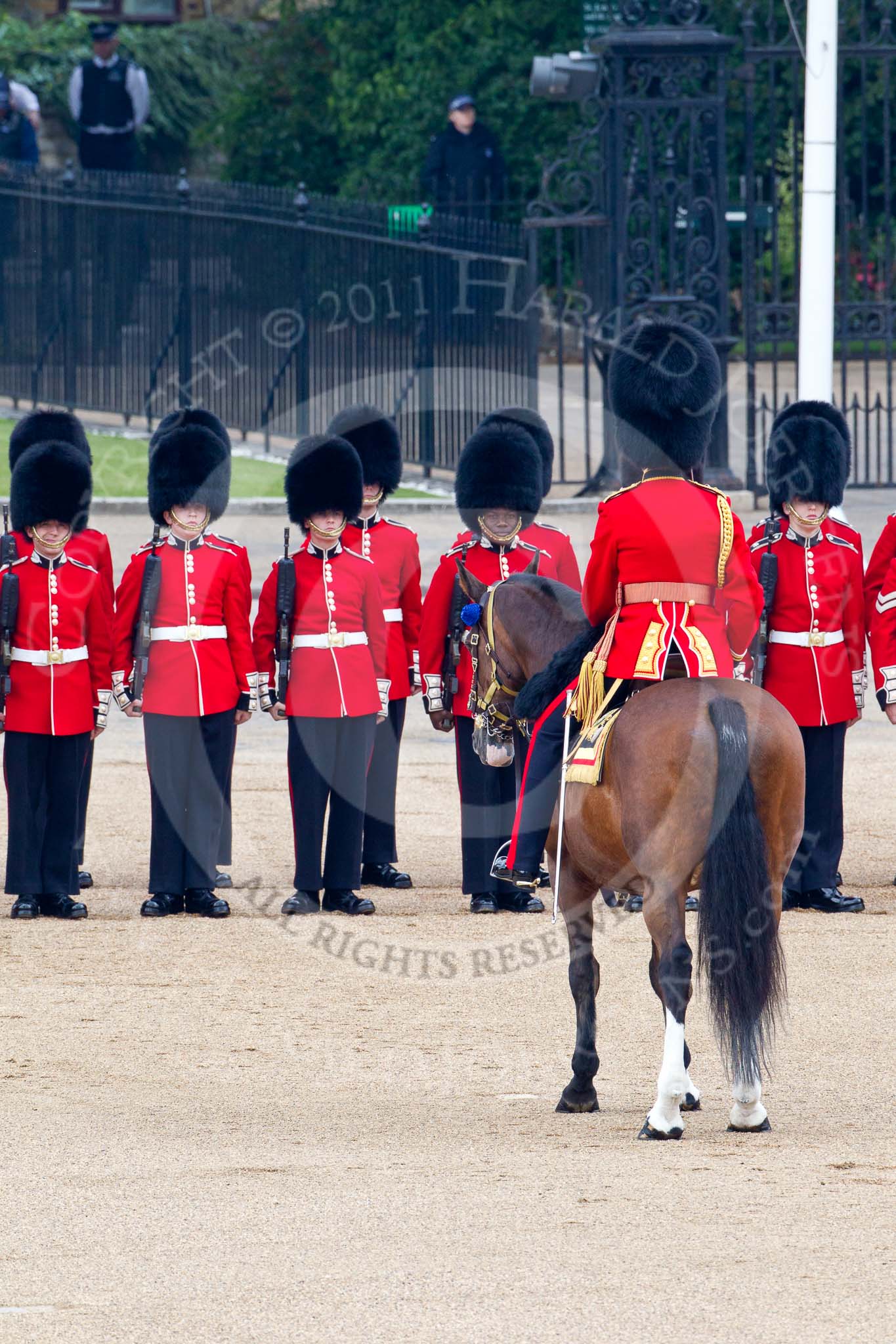 Trooping the Colour 2011: The Field Officer in Brigade Waiting, Lieutenant Colonel Lincoln P M Jopp, in front of No. 2 Guard, B Company Scots Guards..
Horse Guards Parade, Westminster,
London SW1,
Greater London,
United Kingdom,
on 11 June 2011 at 10:42, image #72
