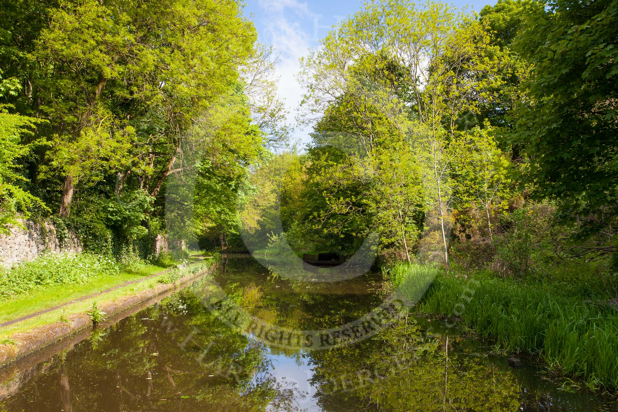 BCN Marathon Challenge 2013: The Old Main Line between the junction with the Engine Brach and the Summit Tunnel..
Birmingham Canal Navigation,


United Kingdom,
on 25 May 2013 at 09:31, image #106
