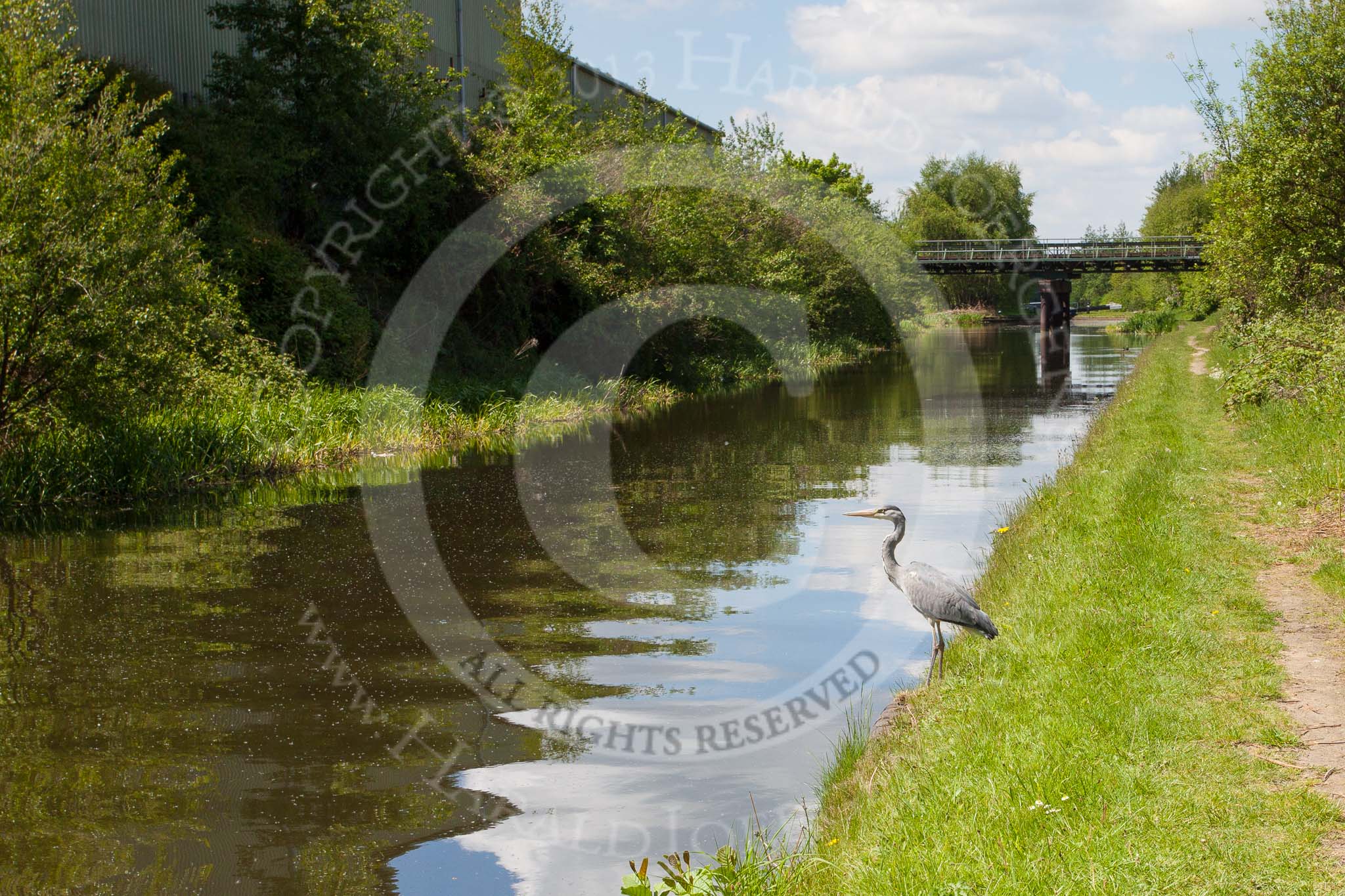 Photo 1305251239035D25494HaraldJoergens BCN Marathon Challenge 2013: The pond between Spon Lake Top Lock and the middle lock on the junction between the Old Main Line and New Main Line, with a heron adding to the peaceful scenery. On the left hand side of the canal Bromford Colliery used to have two branches, perhaps not that peaceful at the time!.
Birmingham Canal Navigation,
United Kingdom,
on 25 May 2013 at 12:39, image #167