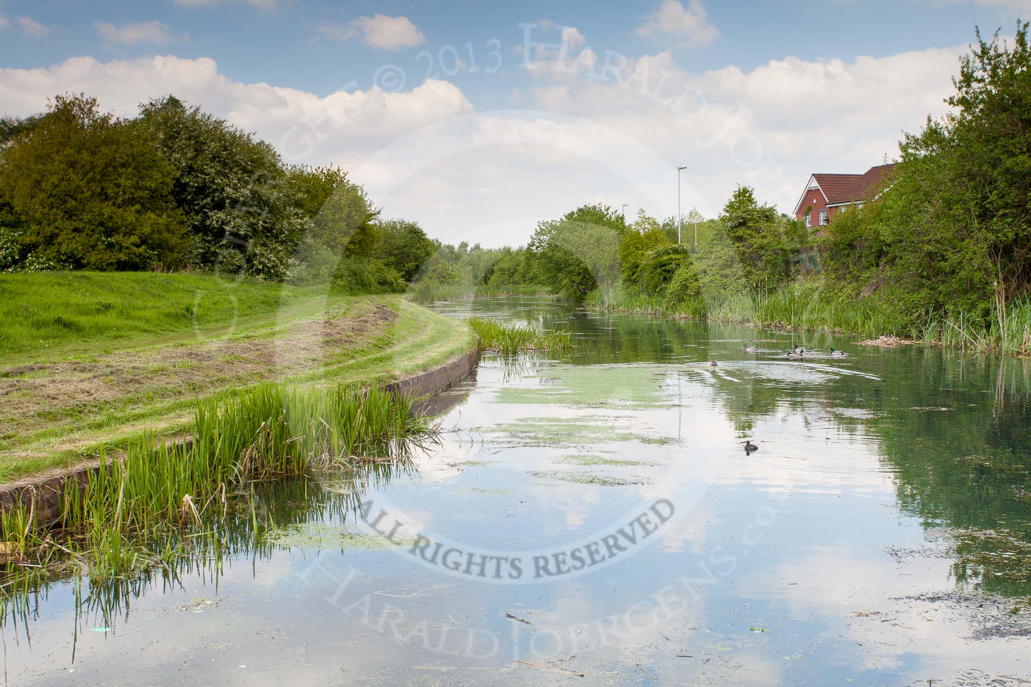 BCN Marathon Challenge 2013: The Bradley Branch, once part of the long and winding Wednesday Oak Loop, close to Deepfields Junction with the New Main Line..
Birmingham Canal Navigation,


United Kingdom,
on 25 May 2013 at 15:25, image #213