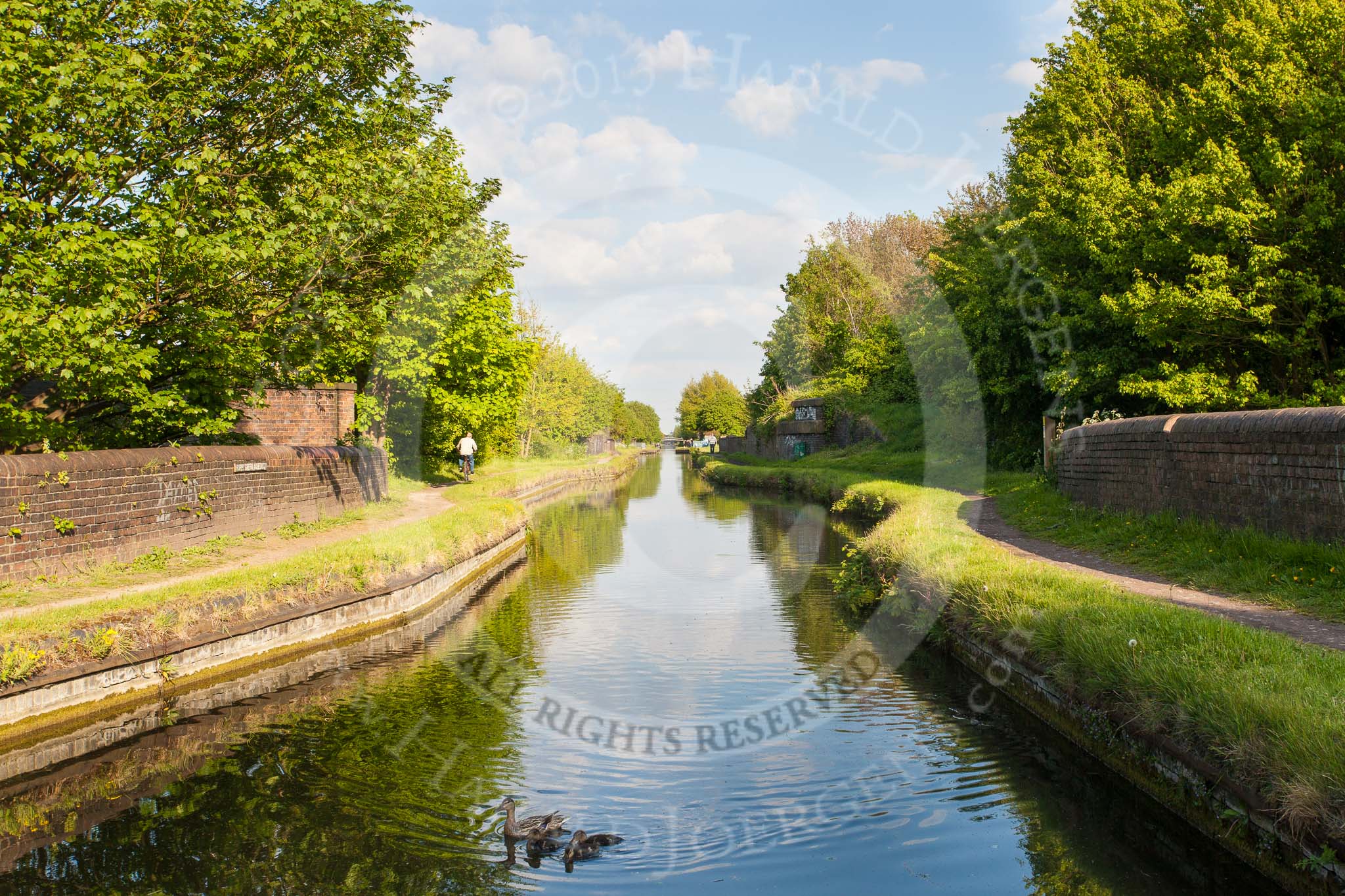 BCN Marathon Challenge 2013: Puppy Green Aqueduct on the BCN New Main Line at Tipton..
Birmingham Canal Navigation,


United Kingdom,
on 25 May 2013 at 18:27, image #278