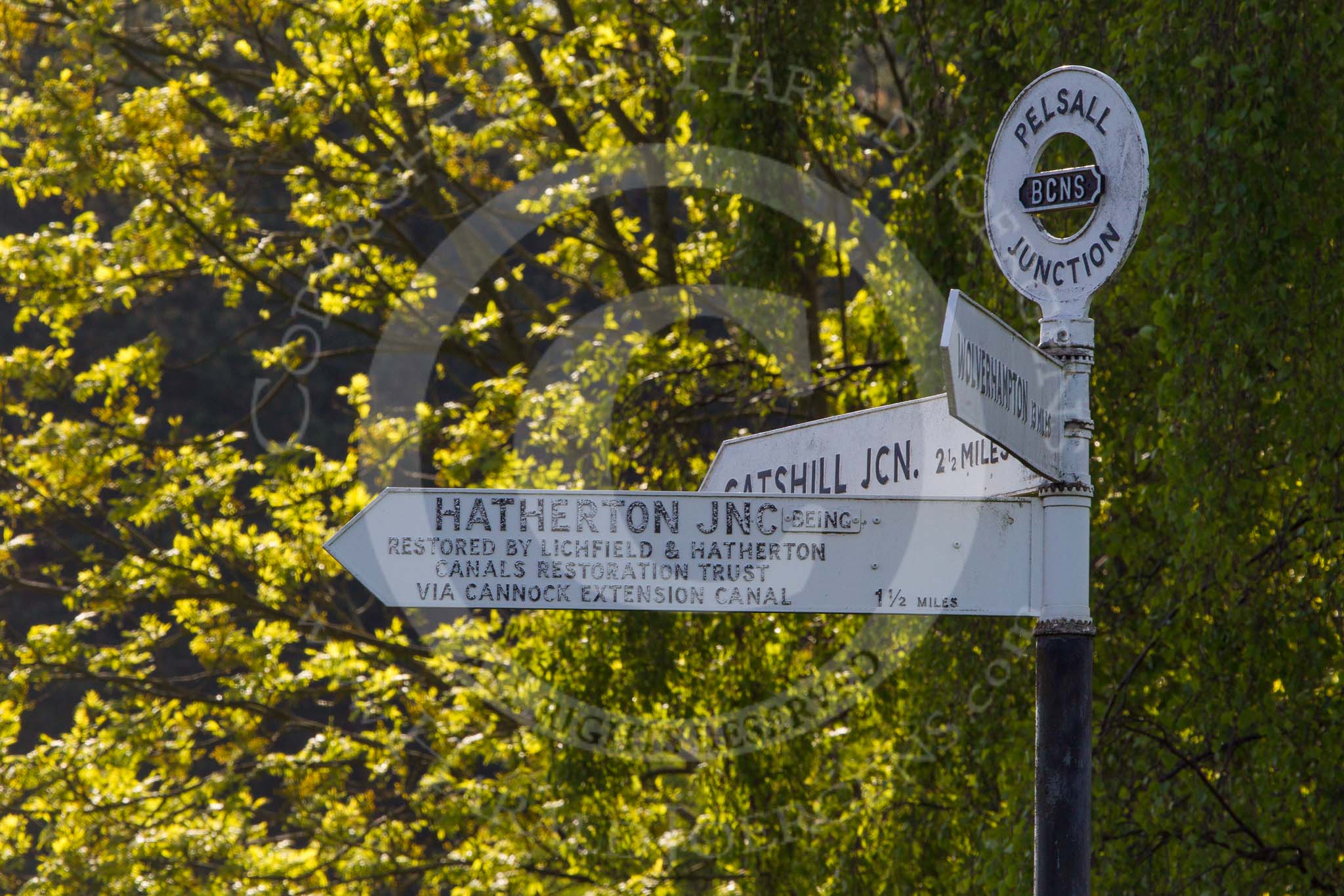 BCN Marathon Challenge 2013: The BCNS Pelsall Junction signpost. It says "Hatherton JNC being restored by Lichfield & Hatherton Canals Restoration Trust via Cannock Extension Canal 1 1/2 miles". The word "being" can be removed..
Birmingham Canal Navigation,


United Kingdom,
on 26 May 2013 at 08:11, image #362