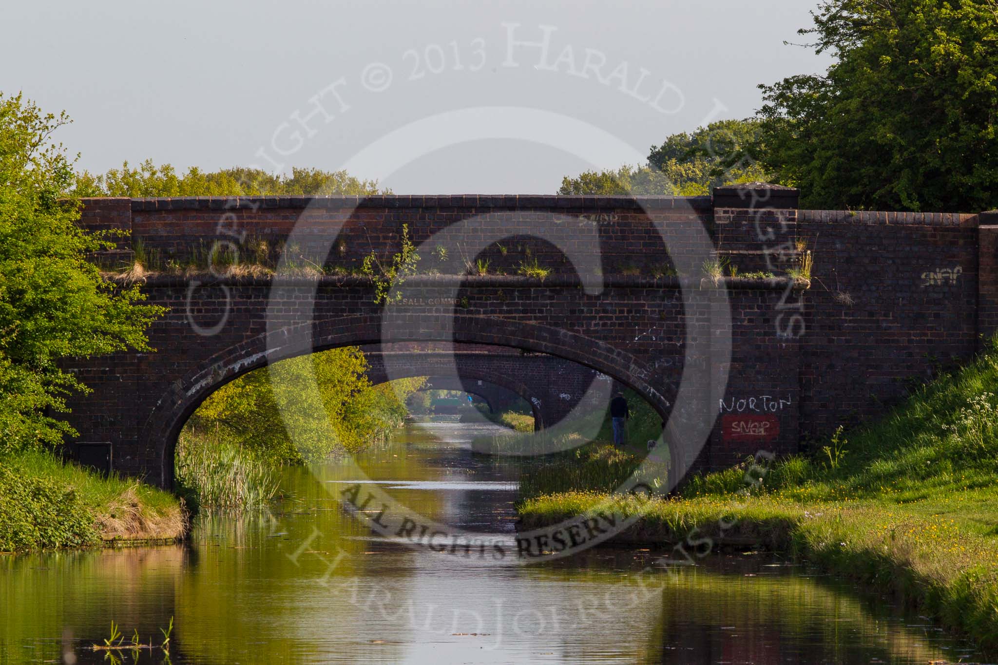 BCN Marathon Challenge 2013: Three bridges in a row on the Cannock Extension Canal - Walsall Common, Pelsall Common, and Green Bridge..
Birmingham Canal Navigation,


United Kingdom,
on 26 May 2013 at 08:14, image #363