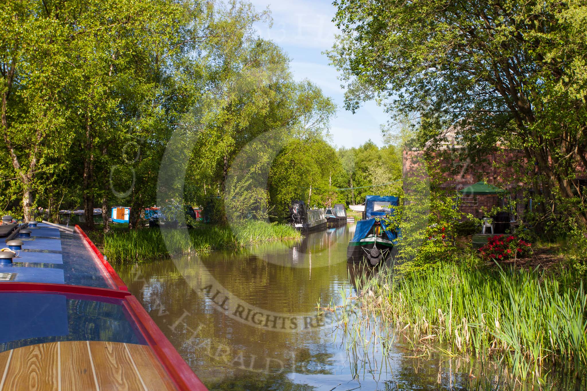 BCN Marathon Challenge 2013: NB "Felonious Mongoose" near the terminus of the Cannock Extension Canal, where two former railway interchange basins are now used by a boatyard..
Birmingham Canal Navigation,


United Kingdom,
on 26 May 2013 at 08:35, image #366