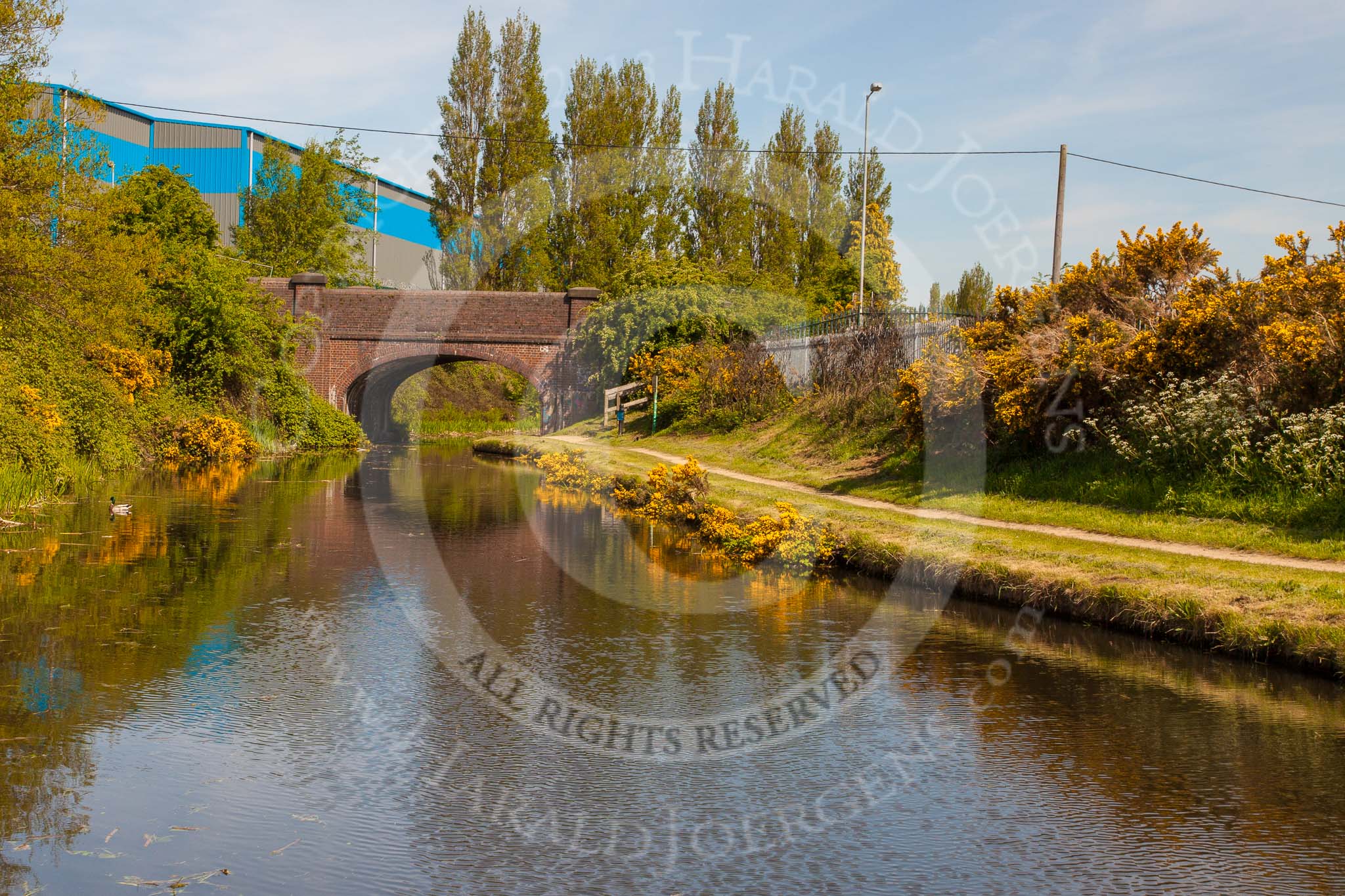 BCN Marathon Challenge 2013: Anglesey Bridge on the Anglesey Branch of the Wyrley & Essington Canal..
Birmingham Canal Navigation,


United Kingdom,
on 26 May 2013 at 10:19, image #382