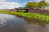 BCN Marathon Challenge 2013: A factory bridge that once led to Oak Basin at the Ireland Green Colliery, on the BCN New Main Line between Bromford Junction and Pudding Green Junction..
Birmingham Canal Navigation,


United Kingdom,
on 25 May 2013 at 13:10, image #181