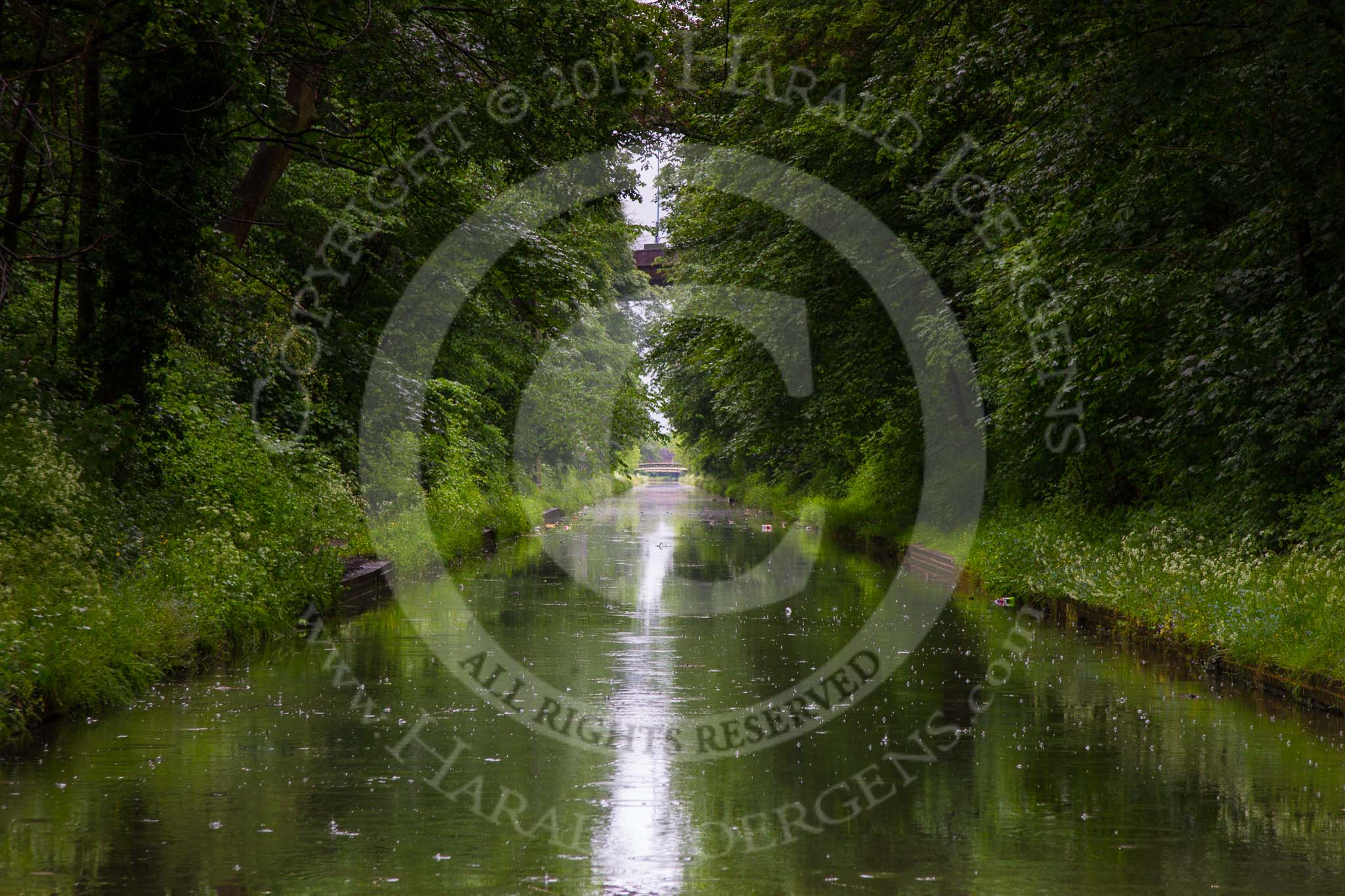 BCN Marathon Challenge 2014: The Tame Valley Canal, as one of the last parts of the BCN to be built, has a dead straight summit level. The embankment is followed by a deep cutting. Chimney Bridge, carrying Green Lane over the canal, can just be seen through the foliage.
Birmingham Canal Navigation,


United Kingdom,
on 24 May 2014 at 14:43, image #133