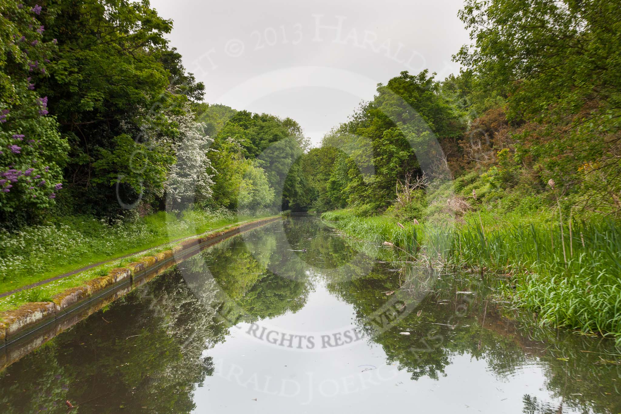 BCN 24h Marathon Challenge 2015: Smeaton's Cutting on the BCN New Main Line near the Smethwick Summit Tunnel. The old Bridley summit level was on the right and 18" higher..
Birmingham Canal Navigations,



on 23 May 2015 at 11:23, image #84