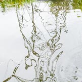 BCN 24h Marathon Challenge 2015: The arty refelacion of a power mast next to the Walsall Canal.
Birmingham Canal Navigations,



on 23 May 2015 at 16:04, image #130