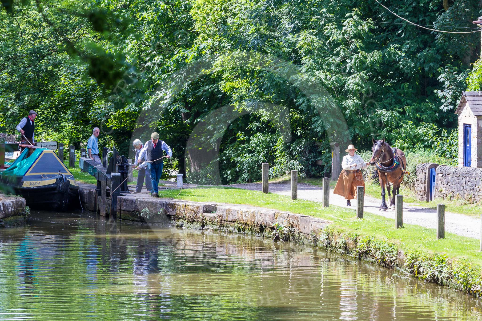 : Narrowboat Maria is ready to leave Marple bottom lock, boat horse Bilbo is on the way to pick up the tow line.




on 03 July 2015 at 15:33, image #35