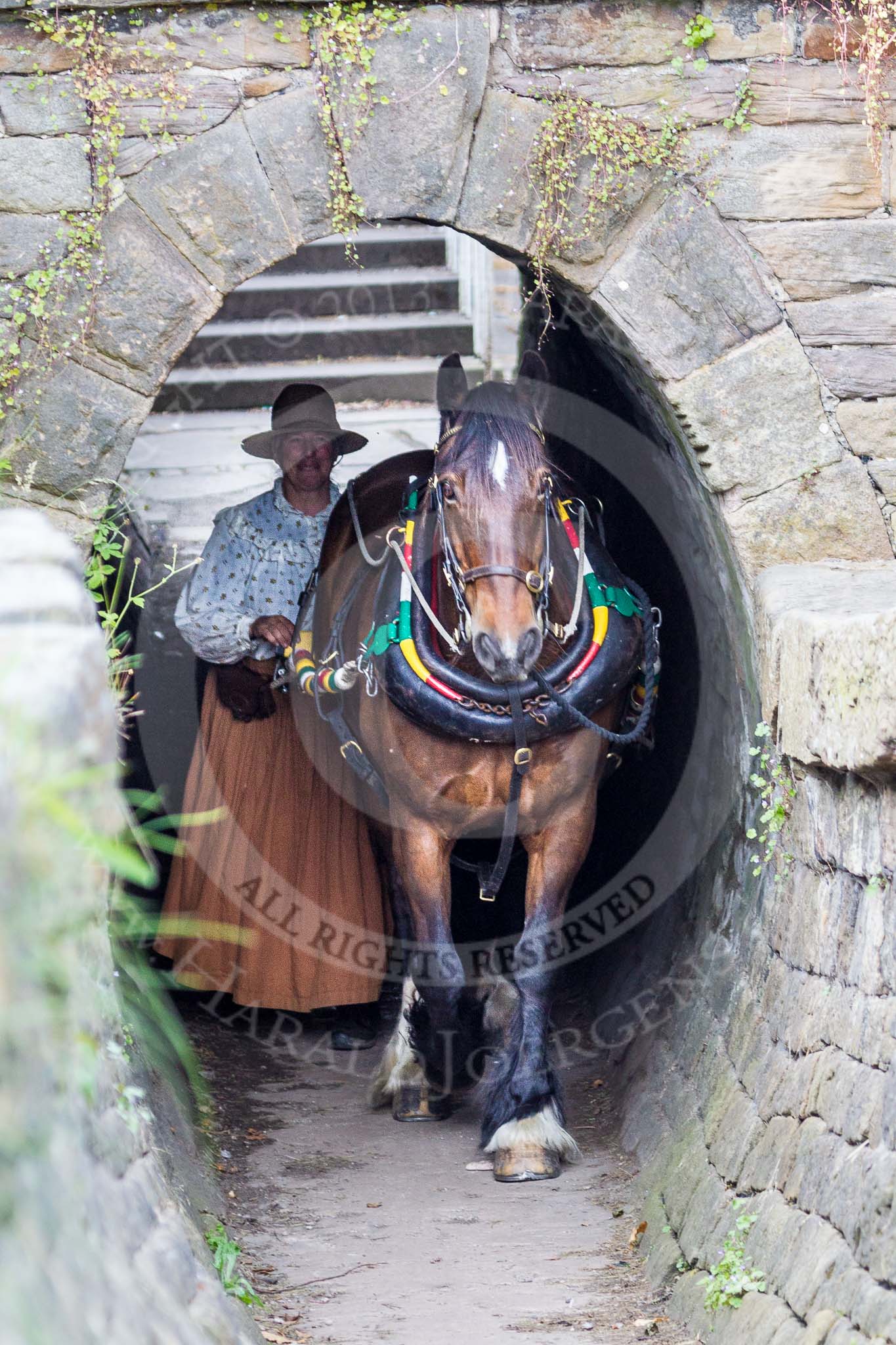 : Sue Day (Horseboating Society) with horse Bilbo walking through the horse tunnel of Marple lock 13..




on 03 July 2015 at 17:42, image #83
