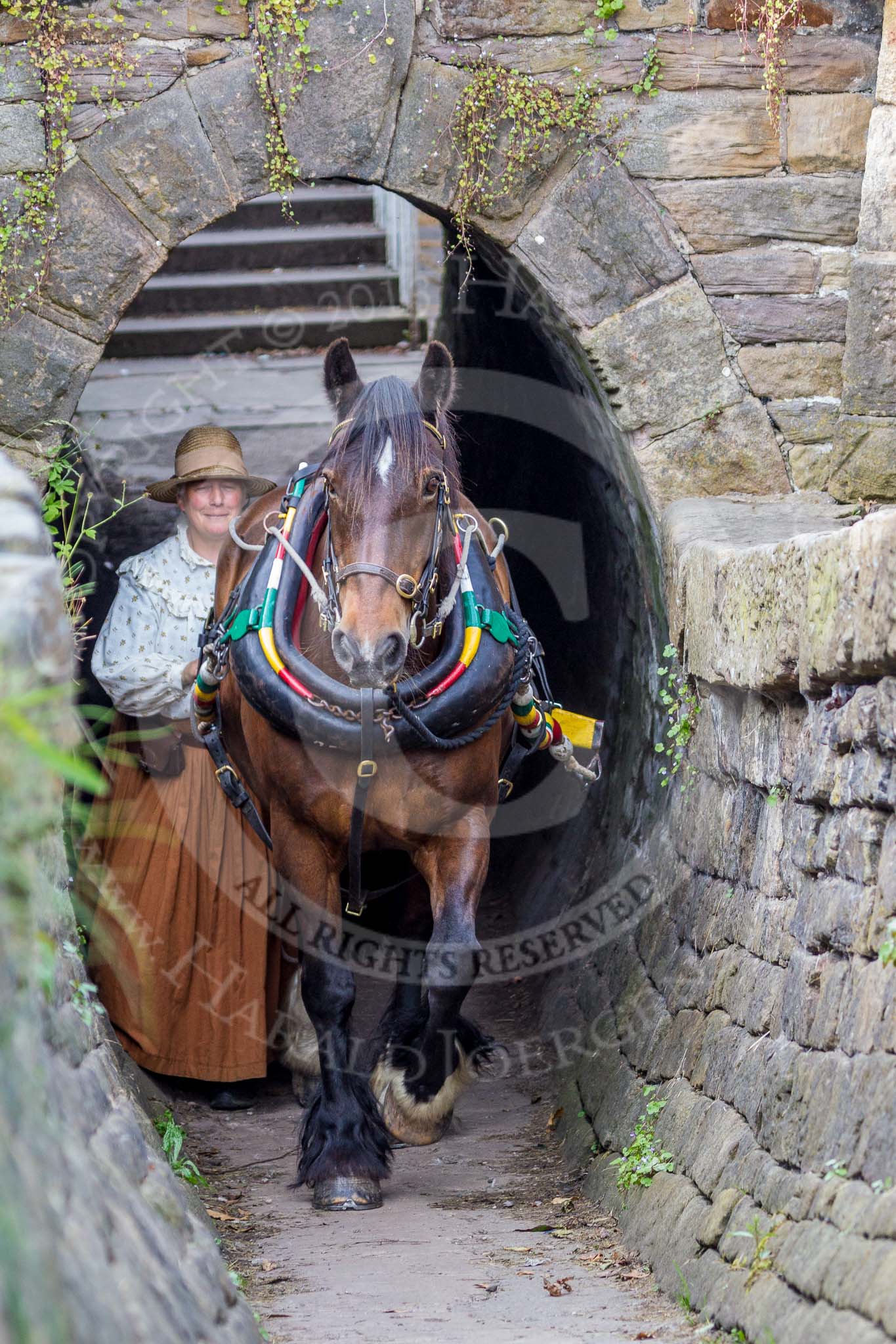 : Sue Day (Horseboating Society) with horse Bilbo walking through the horse tunnel of Marple lock 13..




on 03 July 2015 at 17:42, image #84
