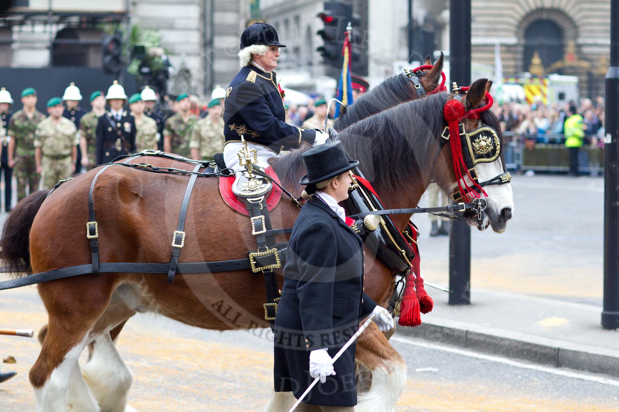 The Lord Mayor's Show 2011: The first two of the six shire horses pulling the state coach in which the new Lord Mayor arrives. Elspeth Ross of http://www.waldburgshires.co.uk who supply the six horses to draw the State Carriage (since 2007) with walking grooms..
Opposite Mansion House, City of London,
London,
-,
United Kingdom,
on 12 November 2011 at 10:51, image #35