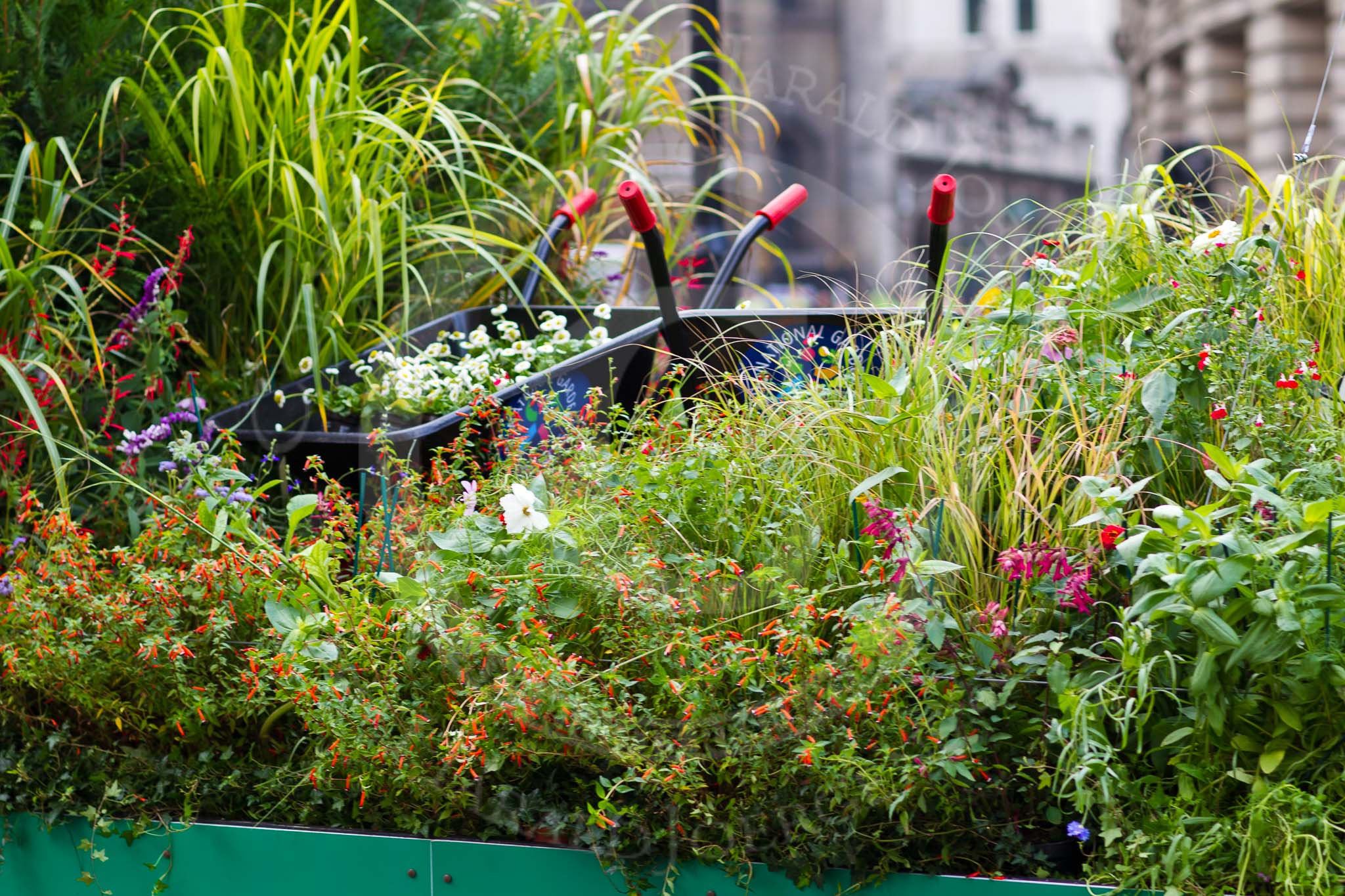 The Lord Mayor's Show 2011: The Worshipful Company of Gardeners..
Opposite Mansion House, City of London,
London,
-,
United Kingdom,
on 12 November 2011 at 11:48, image #500