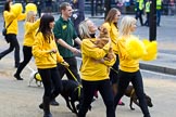 The Lord Mayor's Show 2011: Dogs Trust (http://www.dogstrust.org.uk/)..
Opposite Mansion House, City of London,
London,
-,
United Kingdom,
on 12 November 2011 at 12:00, image #599