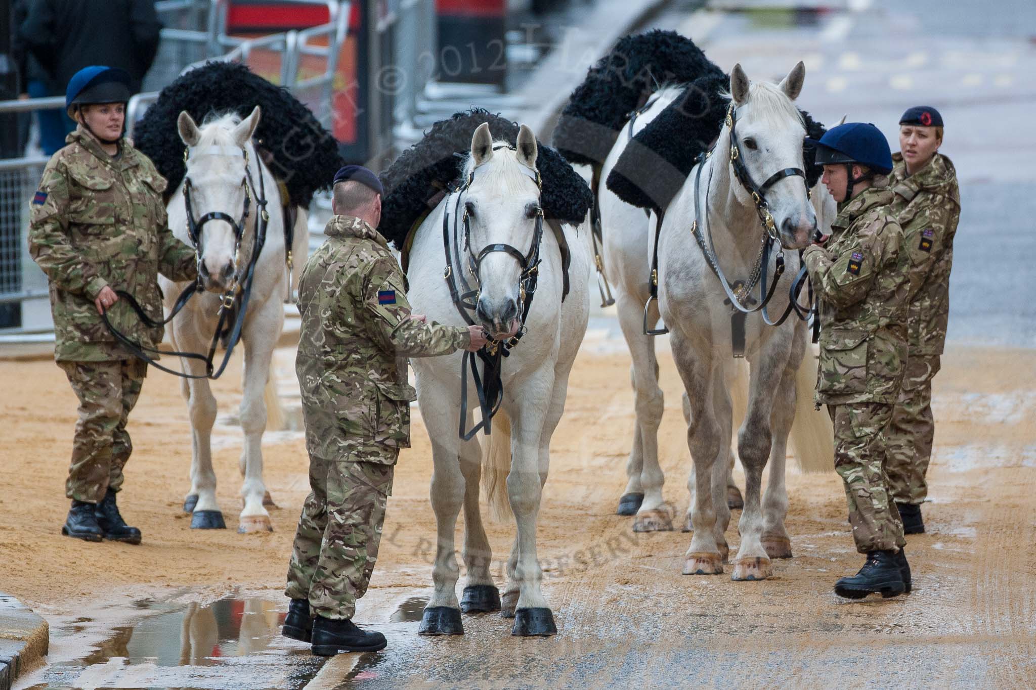 Lord Mayor's Show 2012: The four white Household Cavalry horses that had brought the State Trumpeters to the event..
Press stand opposite Mansion House, City of London,
London,
Greater London,
United Kingdom,
on 10 November 2012 at 10:07, image #24