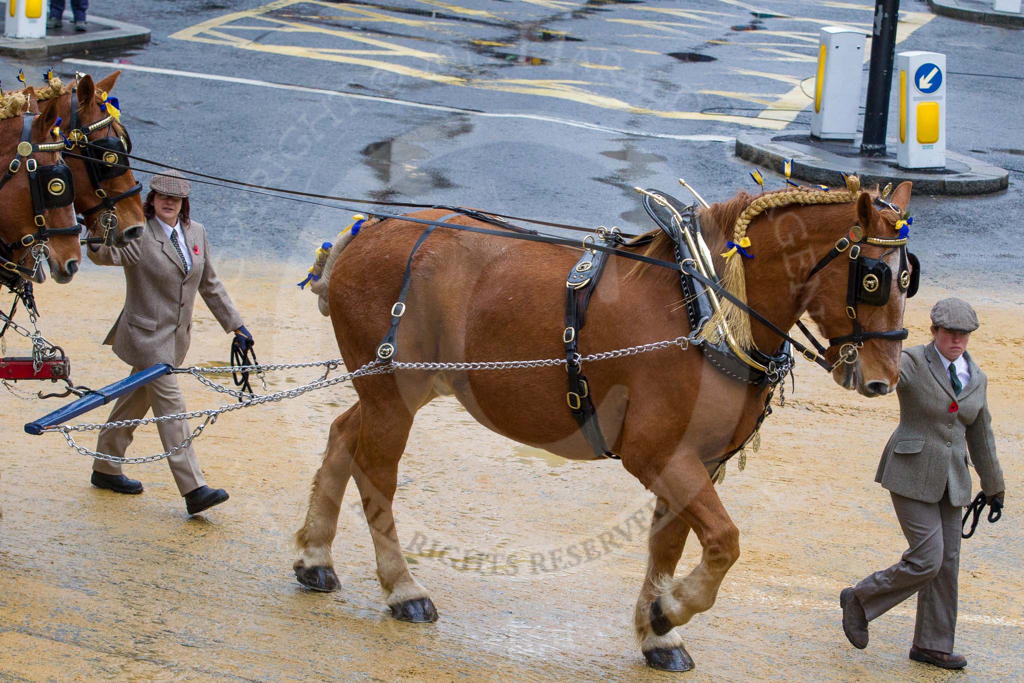 Lord Mayor's Show 2012: Entry 14 - Worshipful Company of Farriers..
Press stand opposite Mansion House, City of London,
London,
Greater London,
United Kingdom,
on 10 November 2012 at 11:06, image #301