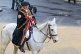 Lord Mayor's Show 2012: Entry 14 - Worshipful Company of Farriers..
Press stand opposite Mansion House, City of London,
London,
Greater London,
United Kingdom,
on 10 November 2012 at 11:06, image #298