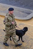 Lord Mayor's Show 2012: Entry 53 - 221 Field Squadron (Explosive Ordnance Disposal) (V)..
Press stand opposite Mansion House, City of London,
London,
Greater London,
United Kingdom,
on 10 November 2012 at 11:23, image #709