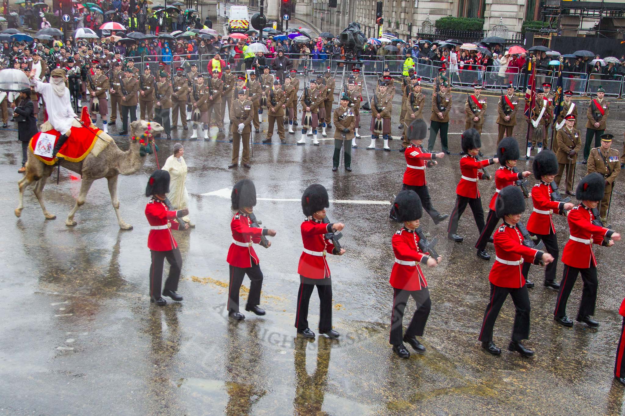 Lord Mayor's Show 2013: 6-Worshipful Company of Grocers- The Spice of Life, represented by the Coldstream Guards, G Company 7th Rifles,here they are joined by Cocoso the camel..
Press stand opposite Mansion House, City of London,
London,
Greater London,
United Kingdom,
on 09 November 2013 at 11:02, image #170
