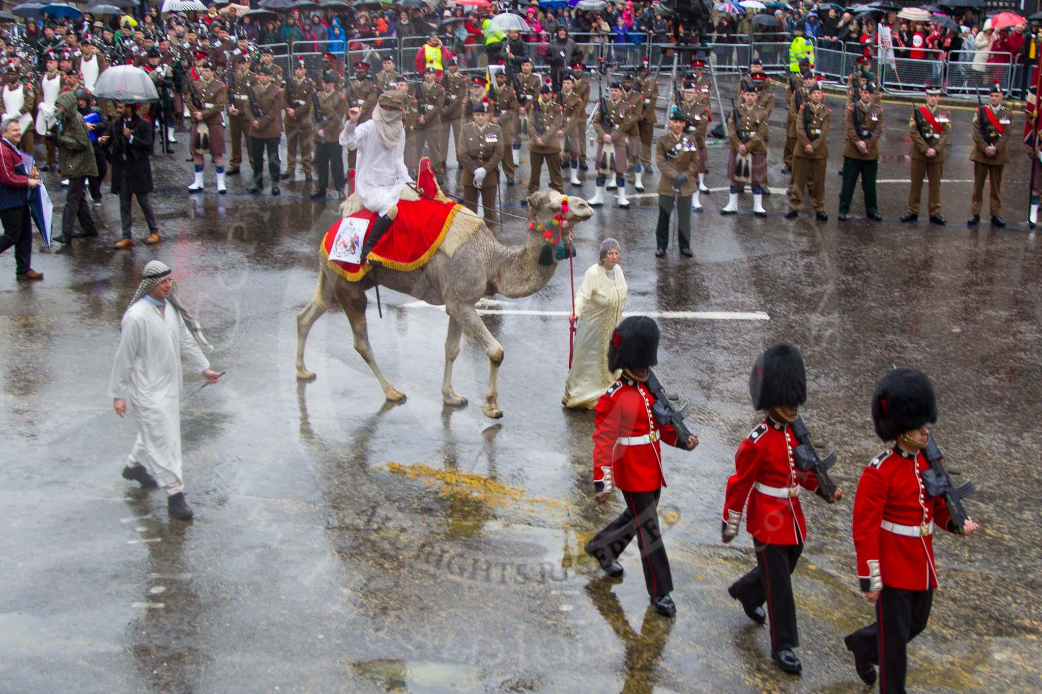 Lord Mayor's Show 2013: 6-Worshipful Company of Grocers- The Spice of Life, represented by the Coldstream Guards, G Company 7th Rifles,here they are joined by Cocoso the camel..
Press stand opposite Mansion House, City of London,
London,
Greater London,
United Kingdom,
on 09 November 2013 at 11:02, image #171