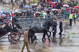Lord Mayor's Show 2013: 122-The King's Troop Rpyal Horse Artillery- is a ceremonial mounteed unit. It has 109 horses and on parade they pull six antique First World War guns dating back to 1904..
Press stand opposite Mansion House, City of London,
London,
Greater London,
United Kingdom,
on 09 November 2013 at 12:06, image #1385
