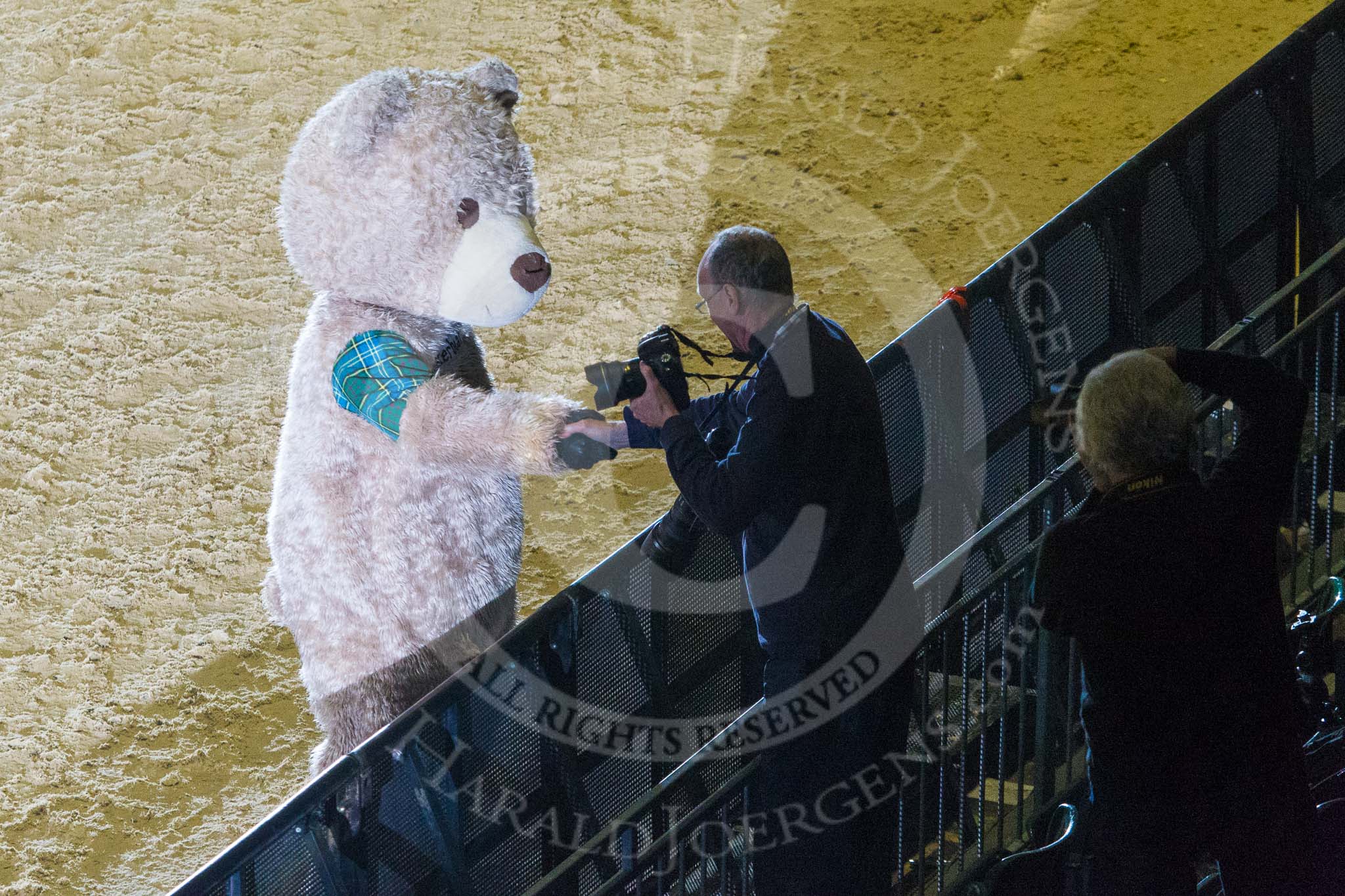 British Military Tournament 2013.
Earls Court,
London SW5,

United Kingdom,
on 06 December 2013 at 16:15, image #348
