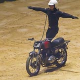 British Military Tournament 2013.
Earls Court,
London SW5,

United Kingdom,
on 06 December 2013 at 15:15, image #157