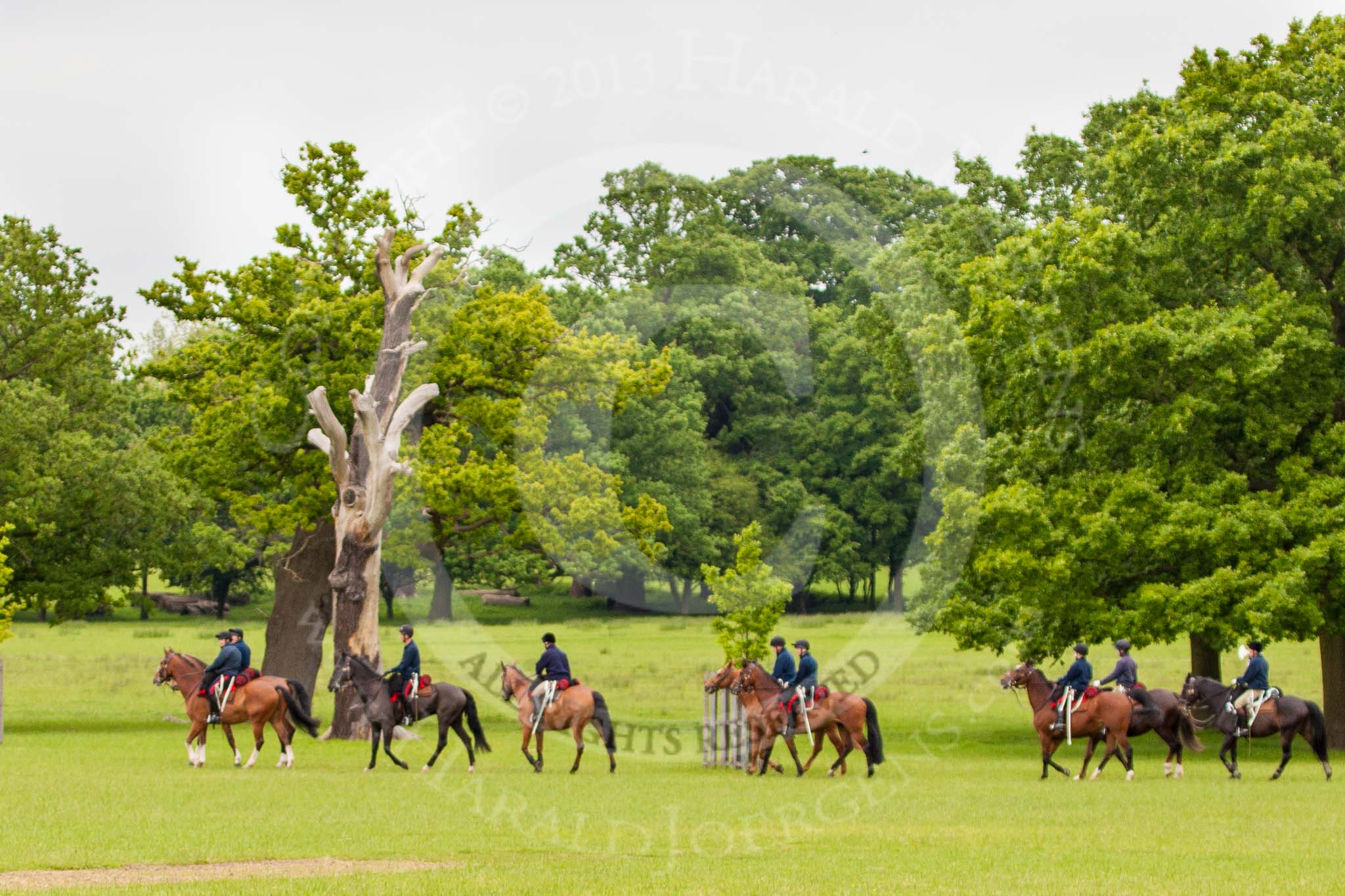 The Light Cavalry HAC Annual Review and Inspection 2013.
Windsor Great Park Review Ground,
Windsor,
Berkshire,
United Kingdom,
on 09 June 2013 at 10:34, image #48