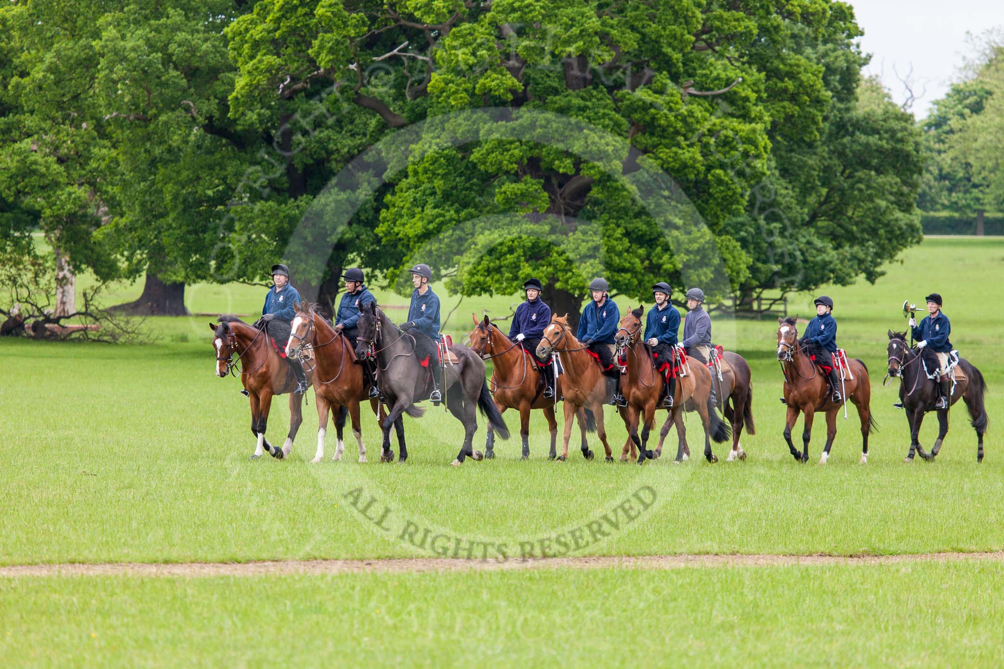 The Light Cavalry HAC Annual Review and Inspection 2013.
Windsor Great Park Review Ground,
Windsor,
Berkshire,
United Kingdom,
on 09 June 2013 at 10:35, image #49