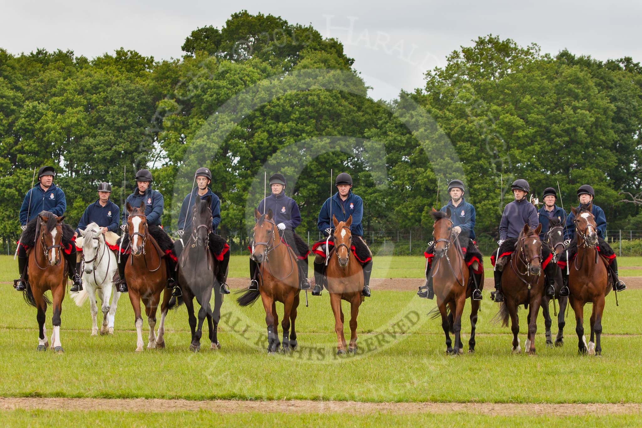 The Light Cavalry HAC Annual Review and Inspection 2013.
Windsor Great Park Review Ground,
Windsor,
Berkshire,
United Kingdom,
on 09 June 2013 at 10:56, image #118