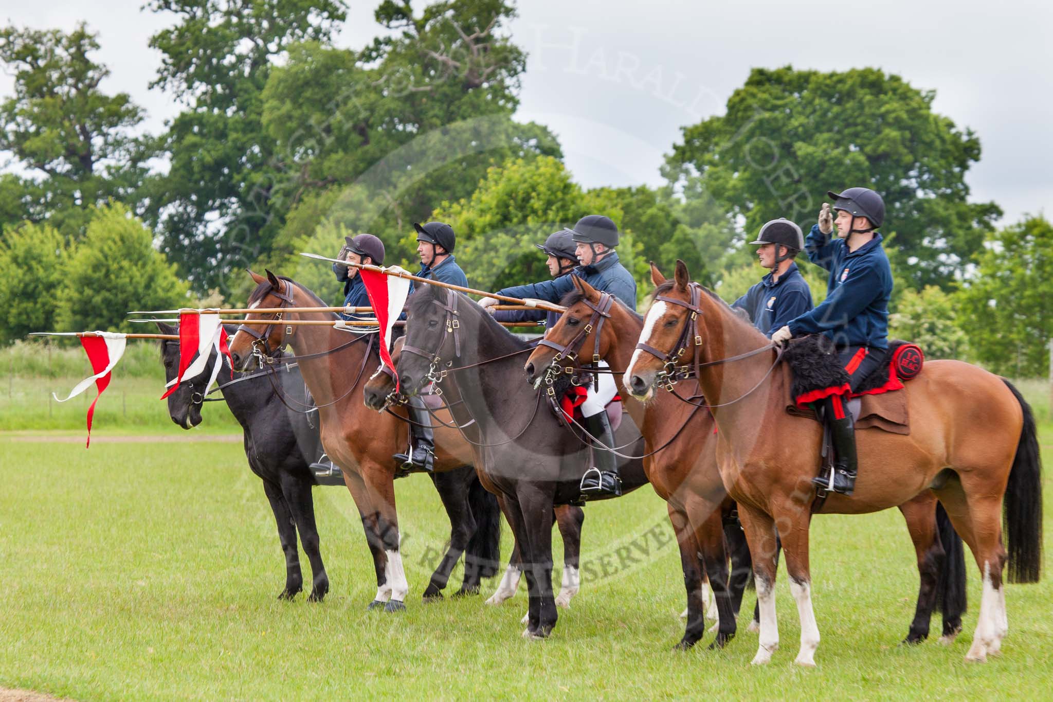 The Light Cavalry HAC Annual Review and Inspection 2013.
Windsor Great Park Review Ground,
Windsor,
Berkshire,
United Kingdom,
on 09 June 2013 at 11:34, image #135