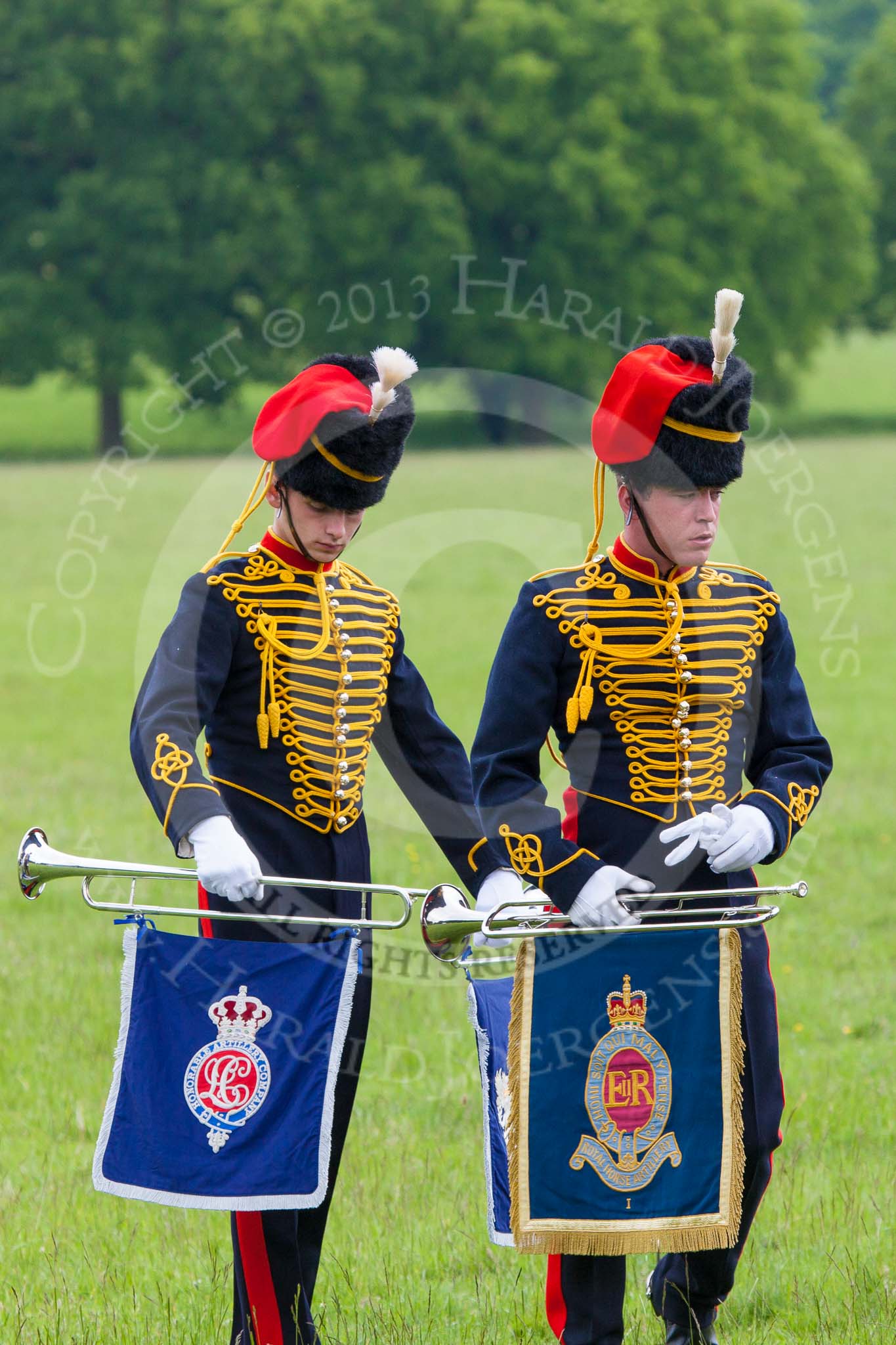 The Light Cavalry HAC Annual Review and Inspection 2013.
Windsor Great Park Review Ground,
Windsor,
Berkshire,
United Kingdom,
on 09 June 2013 at 12:32, image #224