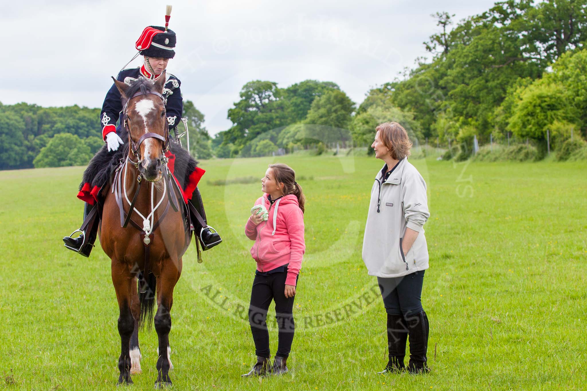 The Light Cavalry HAC Annual Review and Inspection 2013.
Windsor Great Park Review Ground,
Windsor,
Berkshire,
United Kingdom,
on 09 June 2013 at 12:34, image #231