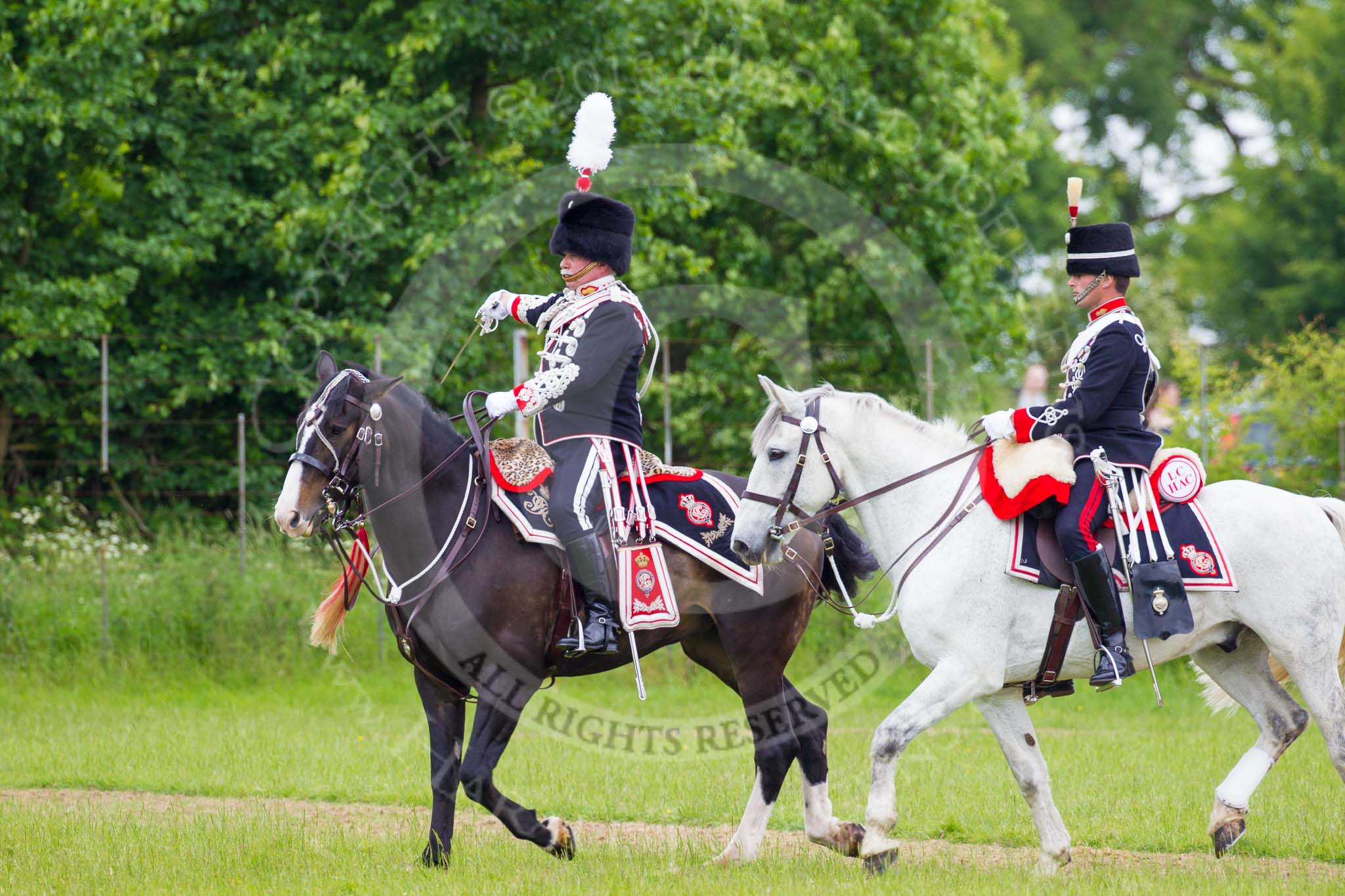 The Light Cavalry HAC Annual Review and Inspection 2013.
Windsor Great Park Review Ground,
Windsor,
Berkshire,
United Kingdom,
on 09 June 2013 at 13:35, image #437