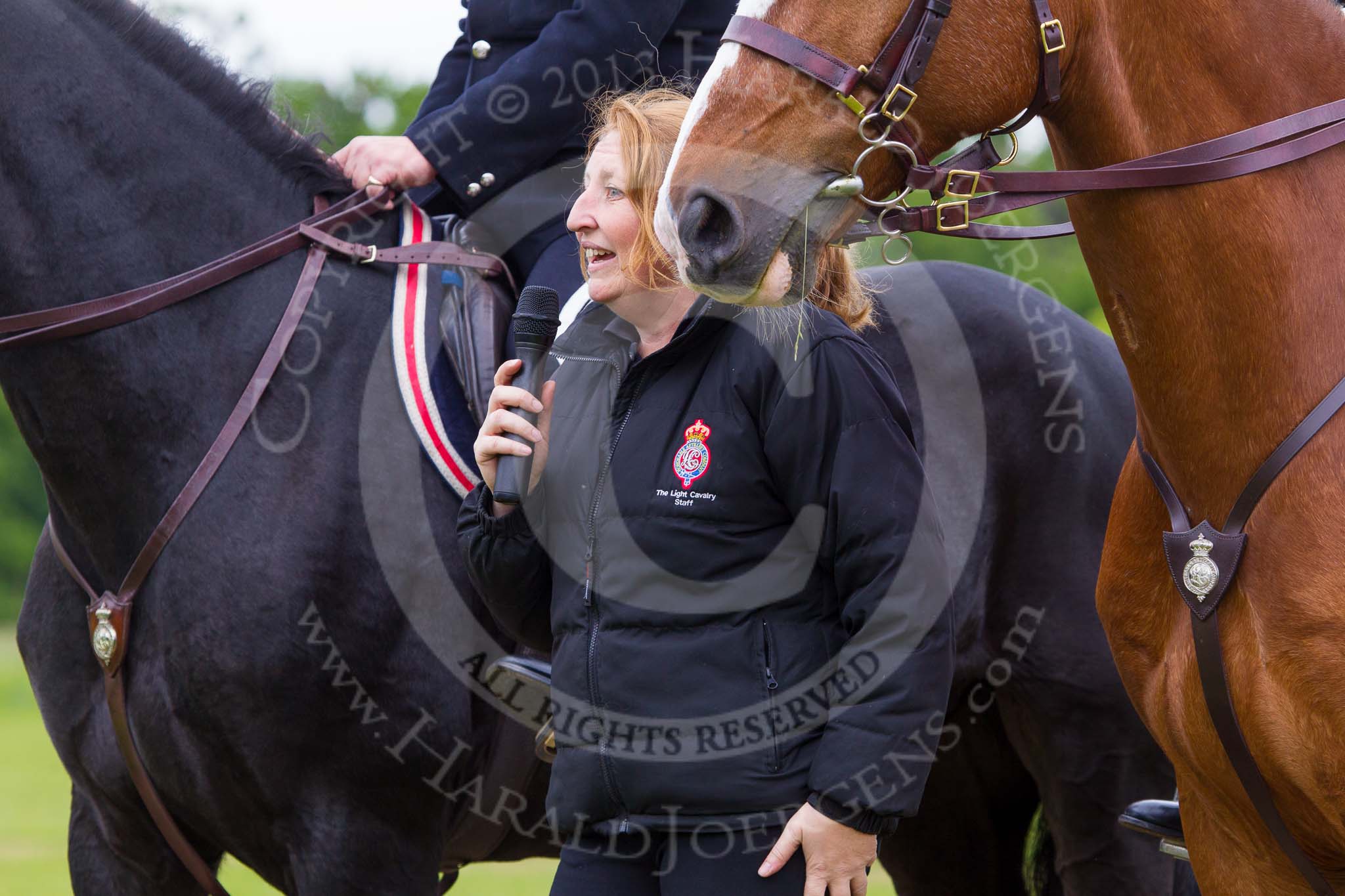 The Light Cavalry HAC Annual Review and Inspection 2013.
Windsor Great Park Review Ground,
Windsor,
Berkshire,
United Kingdom,
on 09 June 2013 at 14:53, image #595