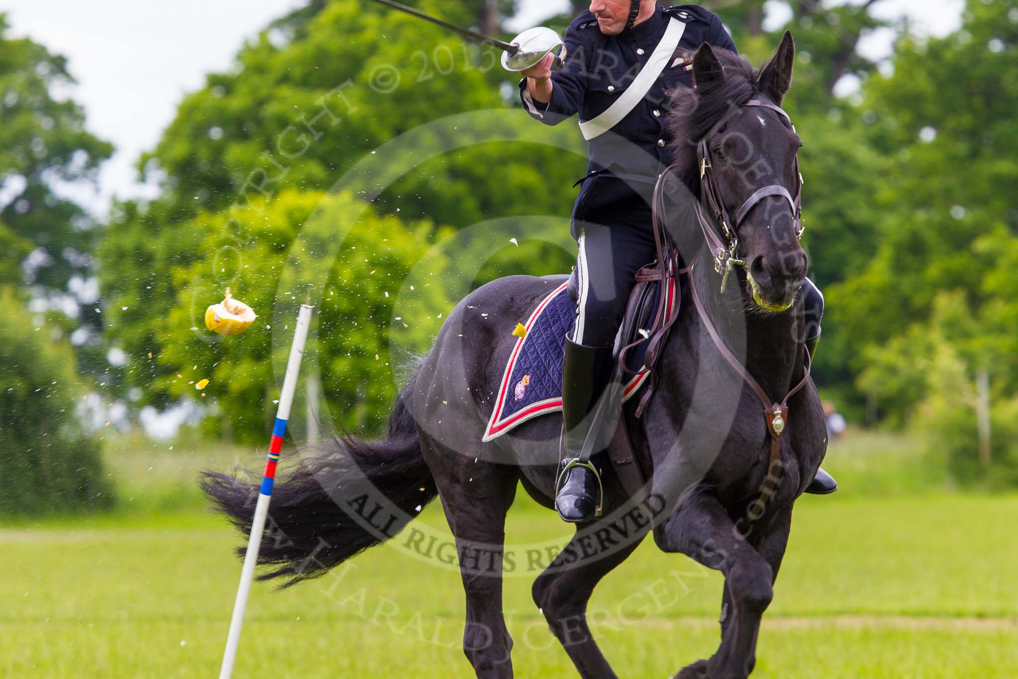The Light Cavalry HAC Annual Review and Inspection 2013.
Windsor Great Park Review Ground,
Windsor,
Berkshire,
United Kingdom,
on 09 June 2013 at 15:01, image #608