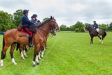 The Light Cavalry HAC Annual Review and Inspection 2013.
Windsor Great Park Review Ground,
Windsor,
Berkshire,
United Kingdom,
on 09 June 2013 at 10:18, image #41
