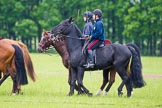The Light Cavalry HAC Annual Review and Inspection 2013.
Windsor Great Park Review Ground,
Windsor,
Berkshire,
United Kingdom,
on 09 June 2013 at 10:44, image #77