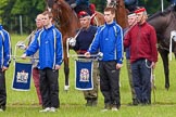 The Light Cavalry HAC Annual Review and Inspection 2013.
Windsor Great Park Review Ground,
Windsor,
Berkshire,
United Kingdom,
on 09 June 2013 at 10:54, image #108