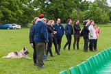 The Light Cavalry HAC Annual Review and Inspection 2013.
Windsor Great Park Review Ground,
Windsor,
Berkshire,
United Kingdom,
on 09 June 2013 at 10:56, image #113