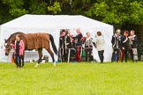 The Light Cavalry HAC Annual Review and Inspection 2013.
Windsor Great Park Review Ground,
Windsor,
Berkshire,
United Kingdom,
on 09 June 2013 at 11:57, image #145