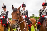 The Light Cavalry HAC Annual Review and Inspection 2013.
Windsor Great Park Review Ground,
Windsor,
Berkshire,
United Kingdom,
on 09 June 2013 at 12:46, image #250