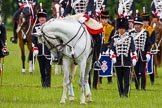 The Light Cavalry HAC Annual Review and Inspection 2013.
Windsor Great Park Review Ground,
Windsor,
Berkshire,
United Kingdom,
on 09 June 2013 at 13:07, image #316