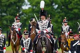 The Light Cavalry HAC Annual Review and Inspection 2013.
Windsor Great Park Review Ground,
Windsor,
Berkshire,
United Kingdom,
on 09 June 2013 at 13:08, image #323