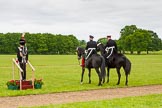 The Light Cavalry HAC Annual Review and Inspection 2013.
Windsor Great Park Review Ground,
Windsor,
Berkshire,
United Kingdom,
on 09 June 2013 at 13:24, image #343