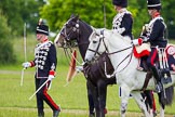 The Light Cavalry HAC Annual Review and Inspection 2013.
Windsor Great Park Review Ground,
Windsor,
Berkshire,
United Kingdom,
on 09 June 2013 at 13:30, image #389