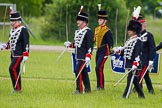 The Light Cavalry HAC Annual Review and Inspection 2013.
Windsor Great Park Review Ground,
Windsor,
Berkshire,
United Kingdom,
on 09 June 2013 at 13:30, image #392