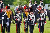 The Light Cavalry HAC Annual Review and Inspection 2013.
Windsor Great Park Review Ground,
Windsor,
Berkshire,
United Kingdom,
on 09 June 2013 at 13:31, image #399